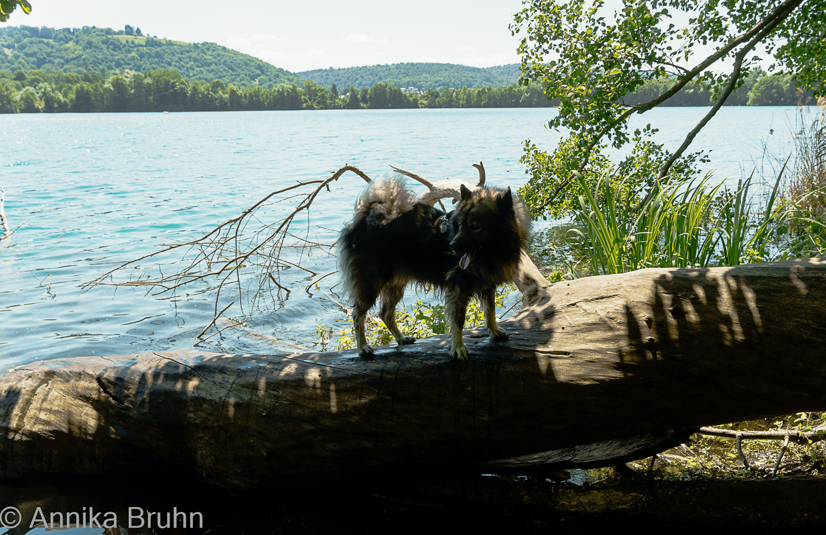 Q am Baggersee Untergrombach!